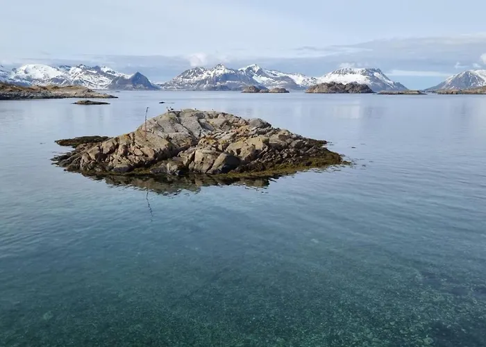 Modern Apartment By The Sea In Henningsvaer