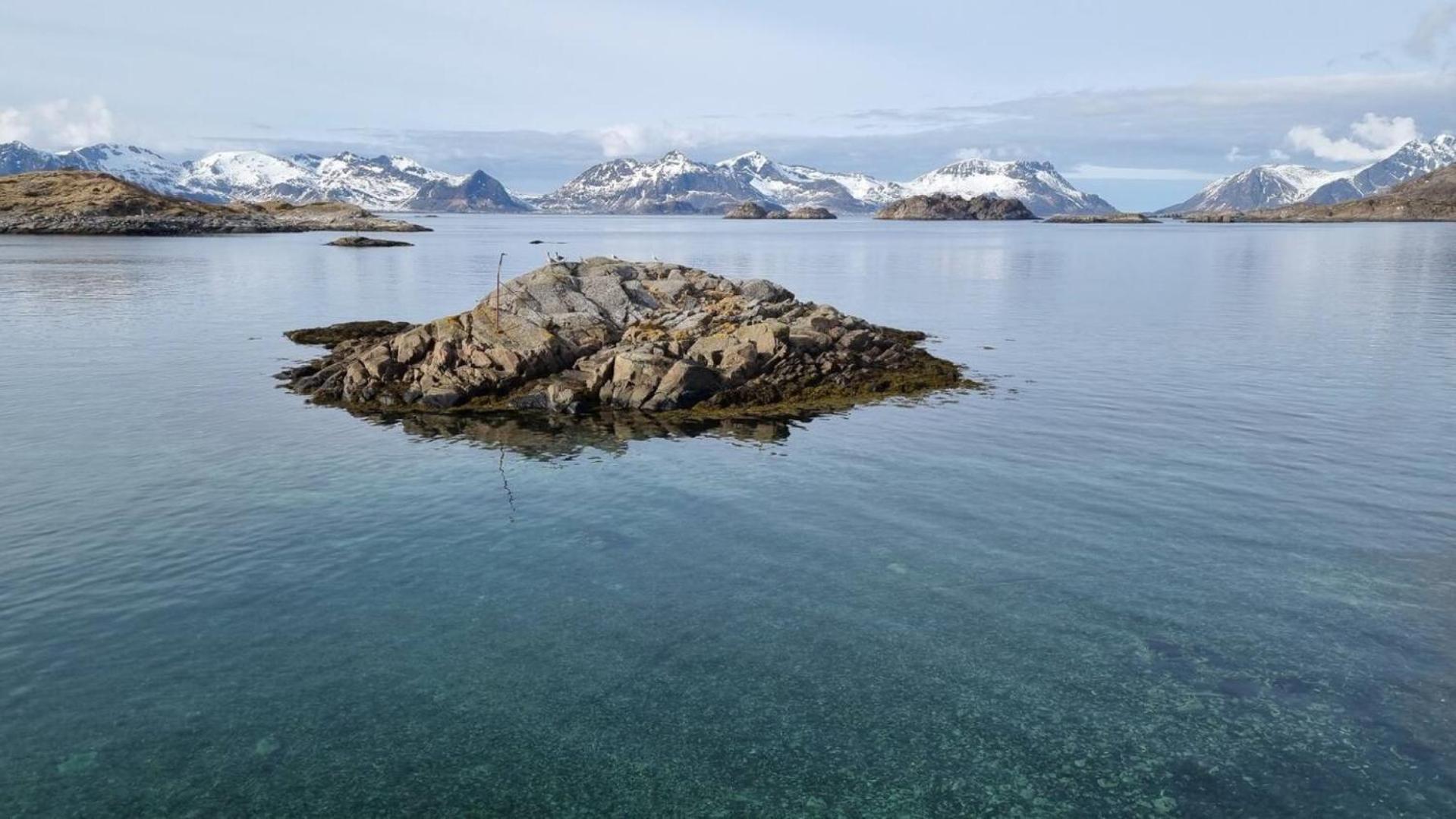 Modern By The Sea In Henningsvær